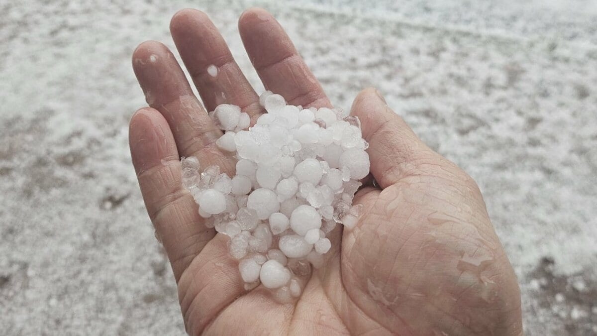 「もう痛くて、氷があたって焦りました」　天気急変　一部で雷を伴った雨やひょう　山梨