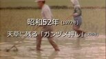 天草に残る「ガンヅメ押し」【昭和52年・1977年】~RKKニュースミュージアム~ 熊本|TBS NEWS DIG