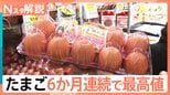 たまご 6か月連続で最高値を更新、スーパー担当者「上がってくる要素しかない、今が一番最安値」【Nスタ解説】|TBS NEWS DIG