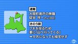 80代男性が遭難　フキを採るため入山か　山中で車を発見　青森県大間町|TBS NEWS DIG