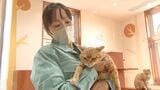 「1頭でも命を救う」殺処分の設備はなし 県動物愛護センター「しっぽのバトン」オープン ＝静岡・富士市|TBS NEWS DIG
