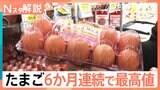 たまご 6か月連続で最高値を更新、スーパー担当者「上がってくる要素しかない、今が一番最安値」【Nスタ解説】|TBS NEWS DIG