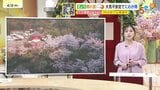 【あす4/3(金)広島天気 】貴重な日差し　洗濯・お花見チャンス　春本番の陽気|TBS NEWS DIG