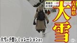 【雪の予想・29日午後9時50分現在】1月では「歴代2位」積雪が一時158cmに達した青森市 30日夜遅くにかけ「警報級の大雪」の恐れ 市民からは「諦め」と「悲鳴」に近い声 大雪シミュレーションあり|TBS NEWS DIG
