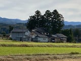 【速報】クマに襲われ男性2人けが “柿の木の処分中に襲われたか” 富山市上今町の一般住宅 富山|TBS NEWS DIG