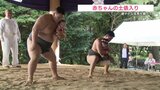 泣くが勝ち!? 赤ちゃんの土俵入り ちびっ子力士の取組にも熱い声援 | 熊本のニュース|RKK NEWS|RKK熊本放送