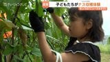 スポーツ×農業 “足が速くなる運動” を学び「ナス」の収穫 農業の担い手の育成へ ユーモアなイベント【富山県】|TBS NEWS DIG