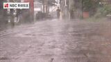 対馬海峡付近に梅雨前線停滞 10日昼過ぎにかけても激しい雨のおそれ【長崎】 | 長崎のニュース | 天気 | NBC長崎放送