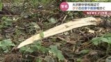 中学校近くでクマの目撃情報、痕跡が複数確認 引き続き警戒を!|TBS NEWS DIG
