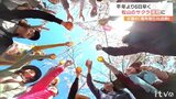 お花見の場所取りも白熱！？ 松山のサクラ 平年より6日早く満開宣言|TBS NEWS DIG