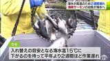 「よりよいものを皆さんに提供できれば」『海峡サーモン』の幼魚を淡水から海水の生けすへ入れ替え|TBS NEWS DIG