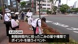 スポGOMIワールドカップ 宮崎県予選が宮崎市で開催|TBS NEWS DIG