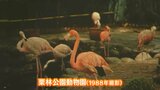 「あの球場やあの動物園も」懐かしい風景や市民の暮らしを収めた写真展　高松市歴史資料館で6月30日まで【香川】　|　岡山・香川のニュース | 天気 | RSK山陽放送