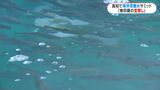 高知で初開催の「海洋深層水サミット」に鹿児島も参加　甑島では研究も「有用な微生物見つける宝探し」|TBS NEWS DIG