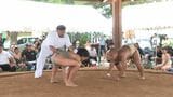 優勝者は国技館の全国大会へ　瀬戸内町でわんぱく相撲大会　|　鹿児島のニュース｜MBC NEWS｜南日本放送