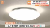 8月の電気代が1000円程度値下がり 政府が補助金を再開　自民総裁選へ“バラマキ政策”の思惑も|TBS NEWS DIG