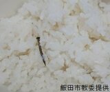白米から約２センチのくぎ見つかる　飯田市内の中学校の給食・配膳中に生徒が気づく　|　SBC NEWS | 長野のニュース | SBC信越放送