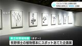 15Kカメラで感じる植物の息吹 牧野富太郎博士の「植物標本」企画展 | 高知のニュース・天気|KUTV NEWS | KUTVテレビ高知