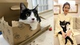 【ねこ】藤あや子さんの愛猫・オレオの「ブチまけ」をマルが “見た” 　「家政婦さん」な姿にフォロワー沸く|TBS NEWS DIG