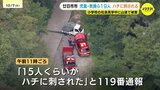 山登り中の児童15人がハチに刺される 大人4人含む計19人が刺され搬送 登山客が増える秋は被害増 山歩き時には足元だけでなく周囲にも注意を向けて 広島県廿日市市|TBS NEWS DIG