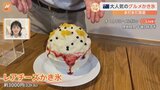 真夏のオーストラリアで大人気「グルメかき氷」 厳選の氷で溶けにくい 一番人気は『ゆず抹茶』 まるでケーキのようなかき氷も登場|TBS NEWS DIG