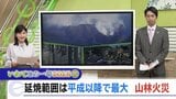 「いわてこの一年①」平成以降最大の延焼面積・大船渡市の大規模山林火災 | IBC NEWS | IBC岩手放送