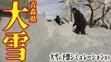 青森県が「県豪雪対策本部」を設置 「特に青森市内が危機的状況」「明らかに生活道路の除排雪が追いついていない」1月としては40年ぶりに積雪150cmの青森市 大雪のシミュレーションで見る最新予想は?|TBS NEWS DIG