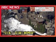 「日本一危険な動物園」触れこみで20年 民間動物園「ノースサファリサッポロ」まもなく閉園 300以上の動物の行方は…旭山動物園「相談はないが、拒否する姿勢ではない」 | 北海道のニュース|HBC北海道放送