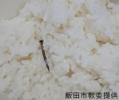 白米から約２センチのくぎ見つかる　飯田市内の中学校の給食・配膳中に生徒が気づく　|　SBC NEWS | 長野のニュース | SBC信越放送