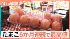 たまご 6か月連続で最高値を更新、スーパー担当者「上がってくる要素しかない、今が一番最安値」【Nスタ解説】| TBS CROSS DIG with Bloomberg