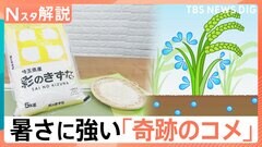 今年も「コメ不足」に？「猛暑」と「空梅雨」は生育にどう影響？ 暑さに強い「奇跡のコメ」とは【Nスタ解説】| TBS CROSS DIG with Bloomberg