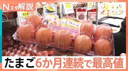 ☆本日終了！２日間限定セール中！玉網　① たまご 6か月連続で最高値を更新、スーパー担当者「上がってくる要素