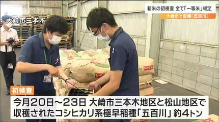 すべて一等米」コシヒカリ系の極早稲種『五百川』およそ4トン 新米の初 すべて一等米」コシヒカリ系の極早稲種『五百川』およそ4トン 新米の初