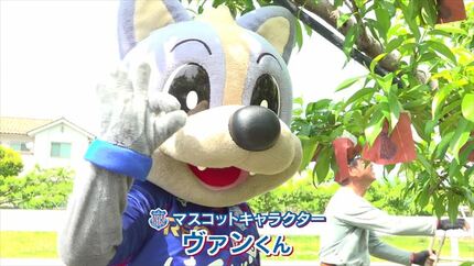 桃の袋掛け作業を「ヴァンくん」がサポート！ ヴァンフォーレ甲府の