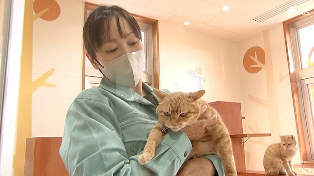 「1頭でも命を救う」殺処分の設備はなし 県動物愛護センター「しっぽのバトン」オープン ＝静岡・富士市|TBS NEWS DIG