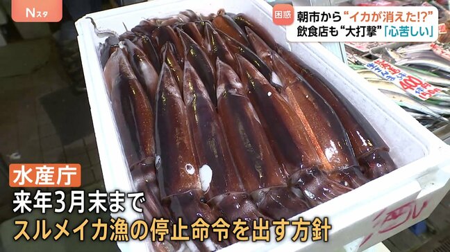 “庶民の味”スルメイカがとれすぎて…“イカの街”北海道・函館市から消えた!名物のイカ釣り堀は休業に 飲食店では代わりに“イカの王様”アオリイカが登場!|TBS NEWS DIG