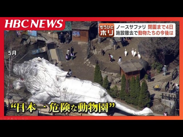 「日本一危険な動物園」触れこみで20年 民間動物園「ノースサファリサッポロ」まもなく閉園 300以上の動物の行方は…旭山動物園「相談はないが、拒否する姿勢ではない」|TBS NEWS DIG
