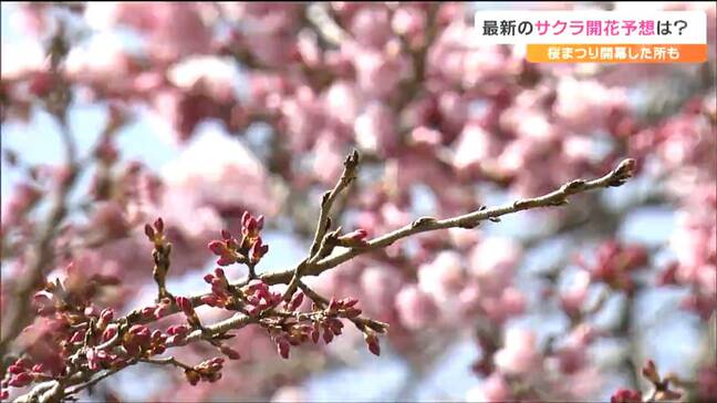 tbc気象台 仙台のサクラ 当初の開花予想「31日」から軌道修正 ではいつ?|TBS NEWS DIG