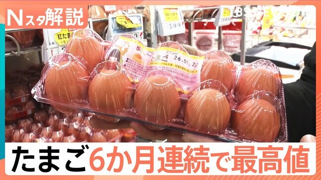 たまご 6か月連続で最高値を更新、スーパー担当者「上がってくる要素しかない、今が一番最安値」【Nスタ解説】|TBS NEWS DIG