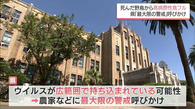 延岡市で死んだ野鳥から「高病原性鳥インフルエンザ」確認　宮崎県が農家などに最大級の警戒呼び掛け|TBS NEWS DIG