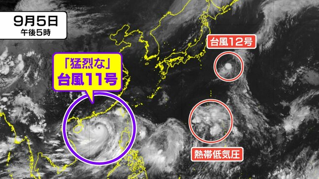 【台風情報 5日午後5時半更新】「台風11号」猛烈な勢力で西へ…「台風12号」はこのあと熱帯低気圧に【衛星画像】日本の南の熱帯低気圧は沖縄・奄美に影響の可能性|TBS NEWS DIG