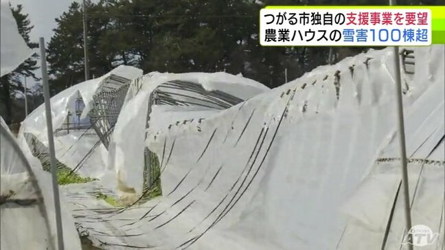 “豪雪”で農業用ハウスの被害100棟以上　「早く元の場所を復旧してもらいたい」農家を支援する青森県つがる市独自の事業の創設を求めて議会から倉光弘昭 市長に要望書提出|TBS NEWS DIG
