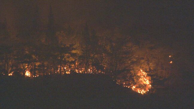 午後2時18分鎮火 岩国市周東町中山の山林火災 けが人なし|TBS NEWS DIG