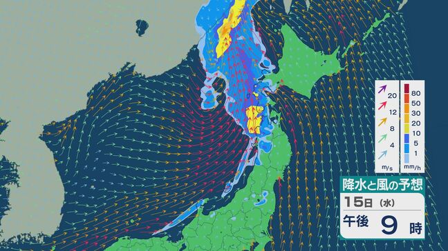 台風9号(バービー)は温帯低気圧に 15日(水)は日本海を通り北海道付近へ 北陸から北の日本海側では雨風強まる天気に 雨と風シミュレーション |TBS NEWS DIG
