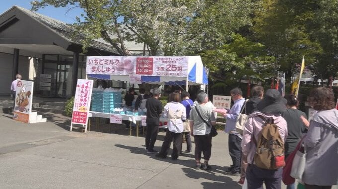 発売当時の69年前と同じ3個入り25円で販売「いちごミルクまんじゅう」が人気　桔梗屋工場祭り　|　山梨のニュース | ＵＴＹテレビ山梨