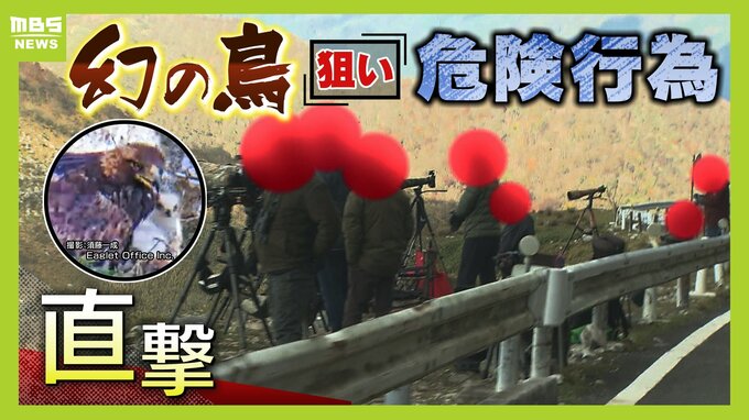 「聞こえへんのか、おら！バカヤロウ」記者に逆ギレ！？立ち入り禁止エリアで『イヌワシ』狙う"悪質カメラマン"　撮影の合間に立ち小便する人も|TBS NEWS DIG