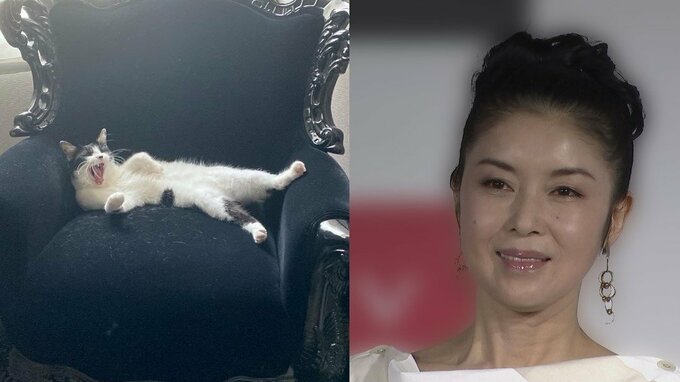 【藤あや子】愛猫「オレオ」が「めっちゃ態度デカイ」フォロワーから猫愛溢れる写真・動画のリプライ続々|TBS NEWS DIG