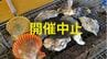「九十九島かき食うカキ祭り」中止発表　理由はカキの大量死　|　長崎のニュース | 天気 | NBC長崎放送
