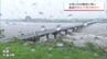 台風６号　宮崎県内の被害と交通機関の影響は･･･　|　MRTニュース ｜ ＭＲＴ宮崎放送
