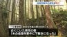 直径10cmの木の下敷きに　庭で伐採していた男性死亡　ヘルメットには出血の跡も　熊本県小国町　|　熊本のニュース｜RKK NEWS｜RKK熊本放送